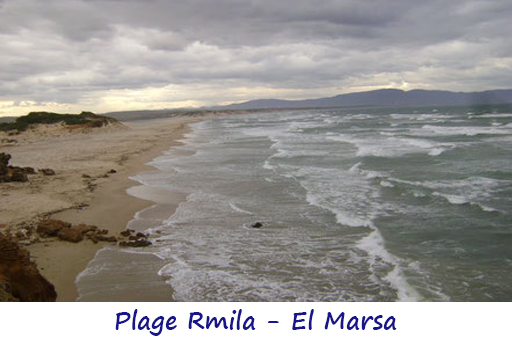 rmila.jpg